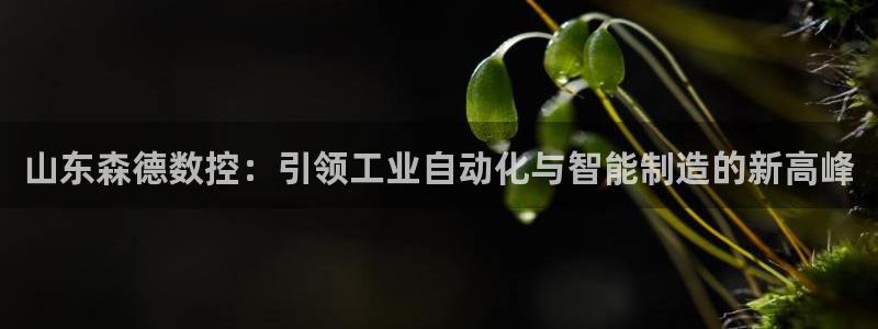 天辰娱乐彩票