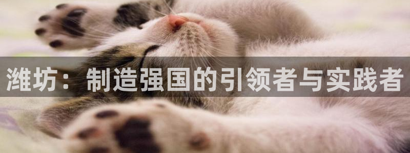 天辰娱乐公司