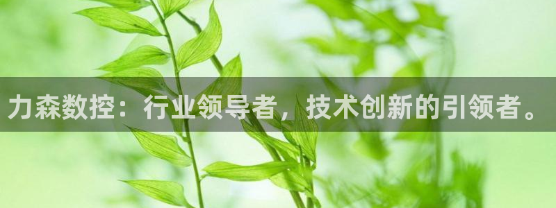 天辰娱乐赌博