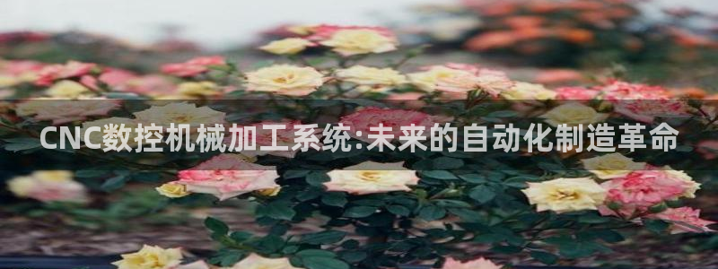 天辰 娱乐注册