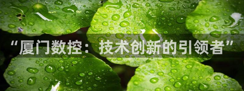 天辰娱乐APP下载
