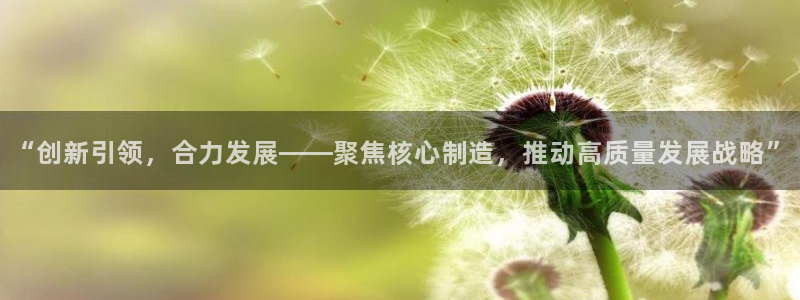 天辰娱乐平台安全吗:“创新引领,合力发展——聚焦核心制造,推动高质量发展战略”