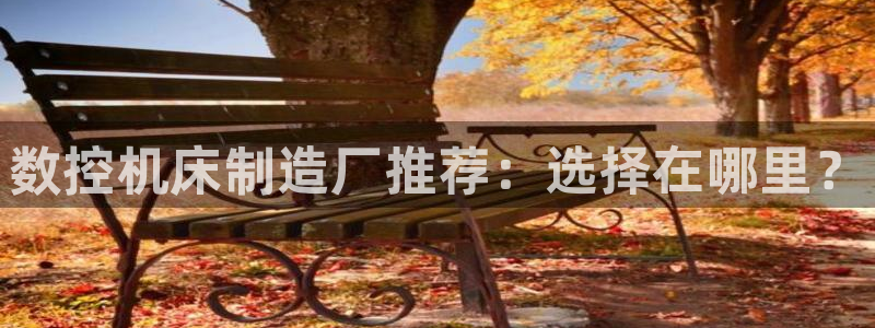 天辰娱乐 . 鱼刺