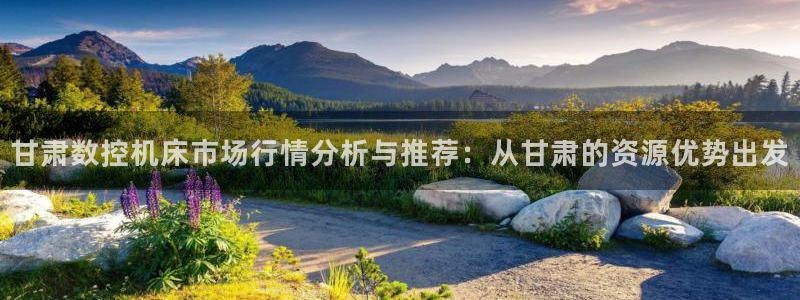南充天辰娱乐:甘肃数控机床市场行情分析与推荐:从甘肃的资源优势出发
