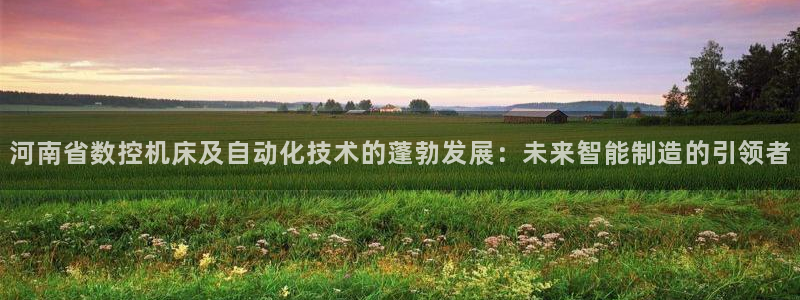 天辰娱乐挂机：河南省数控机床及自动化技术的蓬勃发展：未来智能制造的引领者