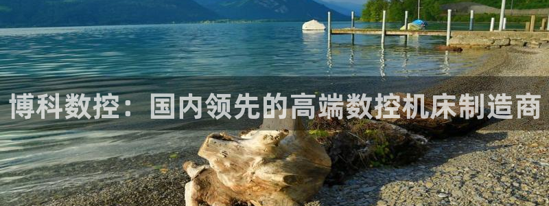 天辰娱乐鱼刺