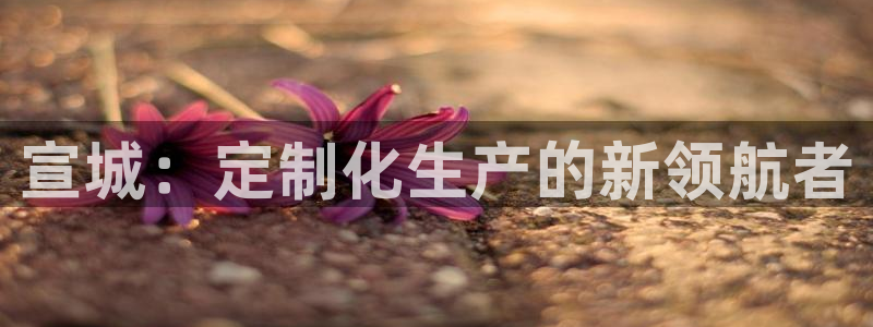 天辰娱乐557696