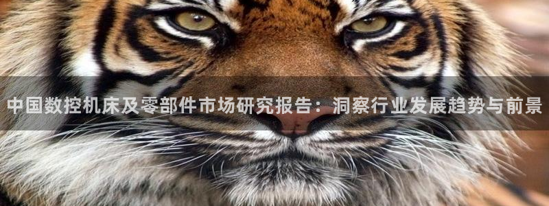 天辰app娱乐
