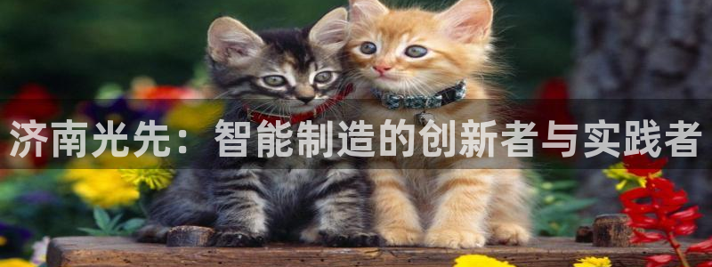 辰天娱乐用品