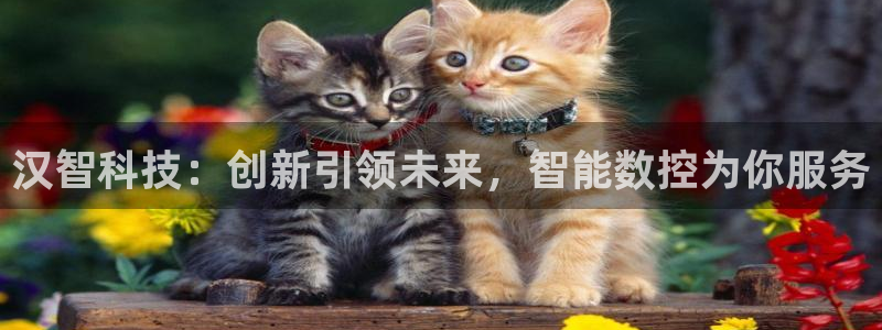 天辰娱乐视频：汉智科技：创新引领未来，智能数控为你服务