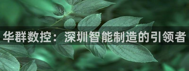 天辰娱乐53551：华群数控：深圳智能制造的引领者