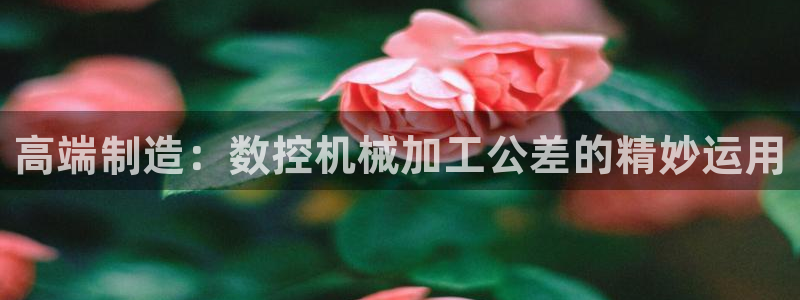 天辰娱乐路线：高端制造：数控机械加工公差的精妙运用