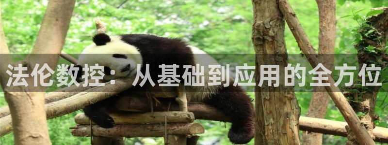 天辰娱乐主页：法伦数控：从基础到应用的全方位