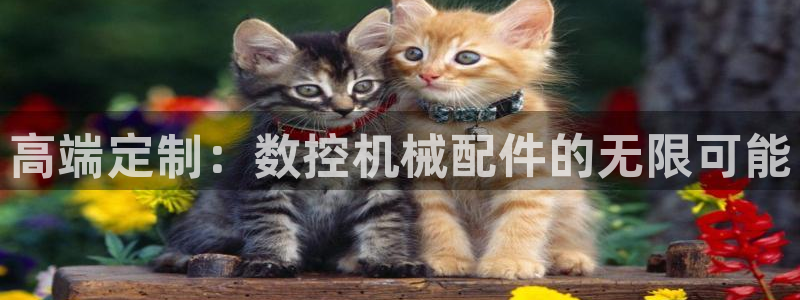 天辰娱乐7天22650