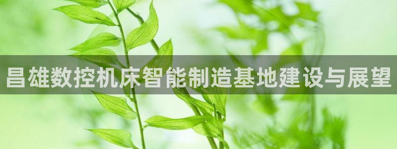 天辰娱乐老板:昌雄数控机床智能制造基地建设与展望