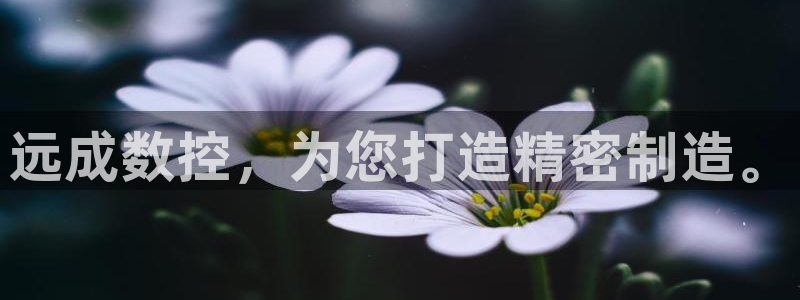 天辰娱乐海洋:远成数控,为您打造精密制造。