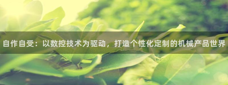 天辰娱乐文案:自作自受:以数控技术为驱动,打造个性化定制的机械产品世界