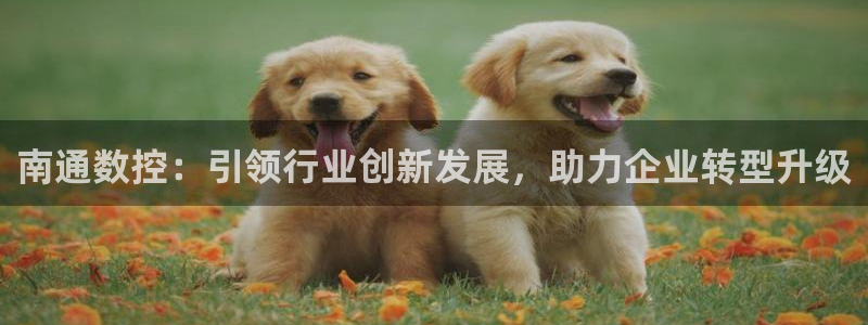 天辰线上娱乐