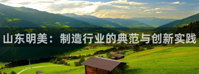 天辰娱乐测速:山东明美:制造行业的典范与创新实践