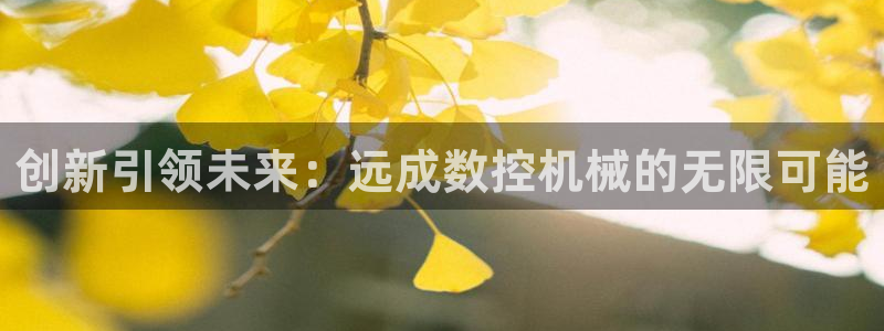 天富天辰娱乐:创新引领未来:远成数控机械的无限可能
