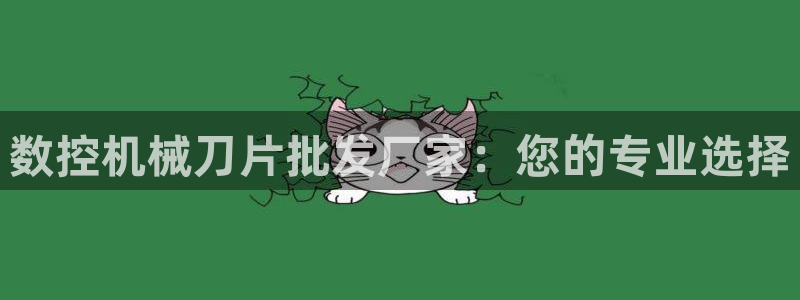 nba天辰娱乐