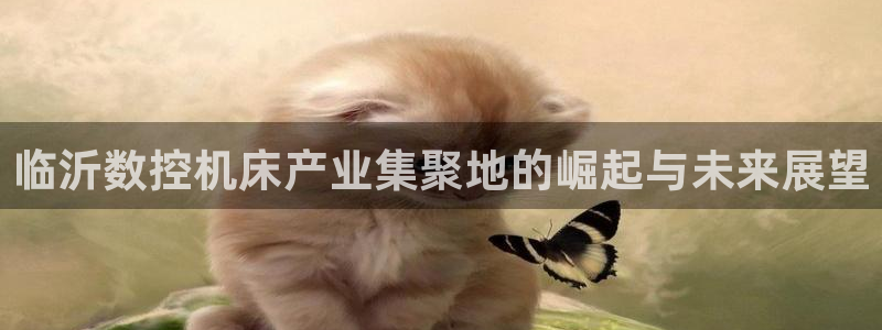 天辰娱乐登录测试