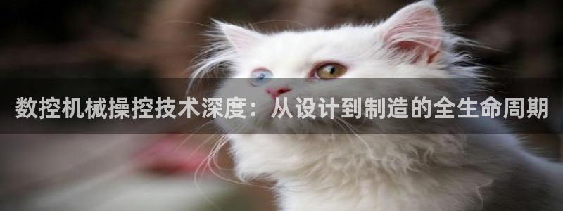 天辰娱乐卡