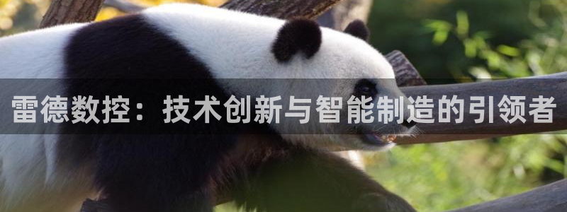天辰水娱乐