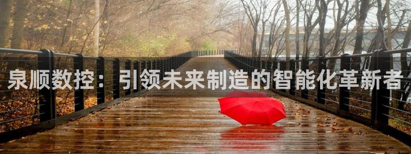 天辰娱乐总管年薪：泉顺数控：引领未来制造的智能化革新者