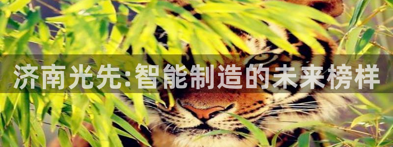 天辰娱乐主页：济南光先:智能制造的未来榜样