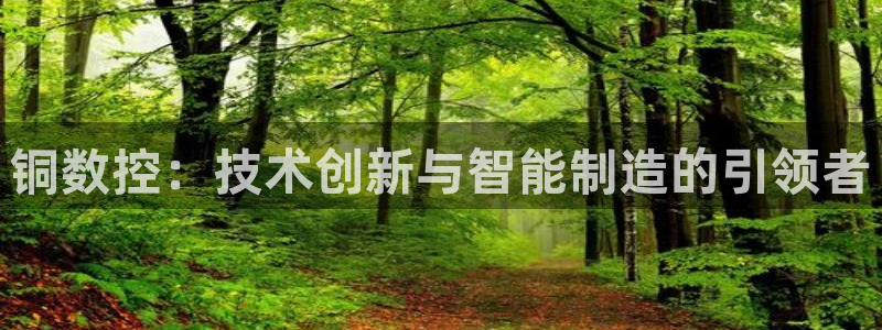天辰娱乐平台地址：铜数控：技术创新与智能制造的引领者